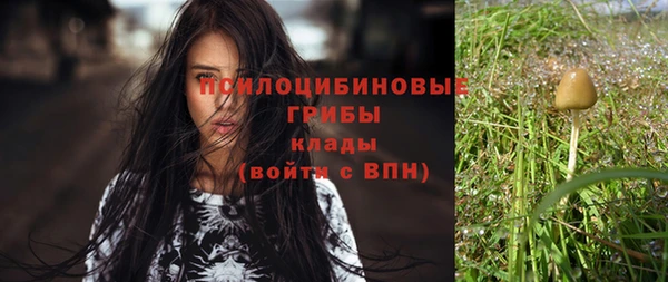 мескалин Дмитриев